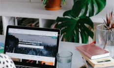 养角蛙超实用技巧，跟我一起学怎么养好这些小可爱吧！